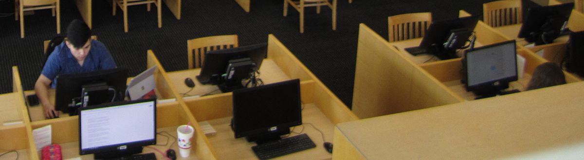 students using computers in the library