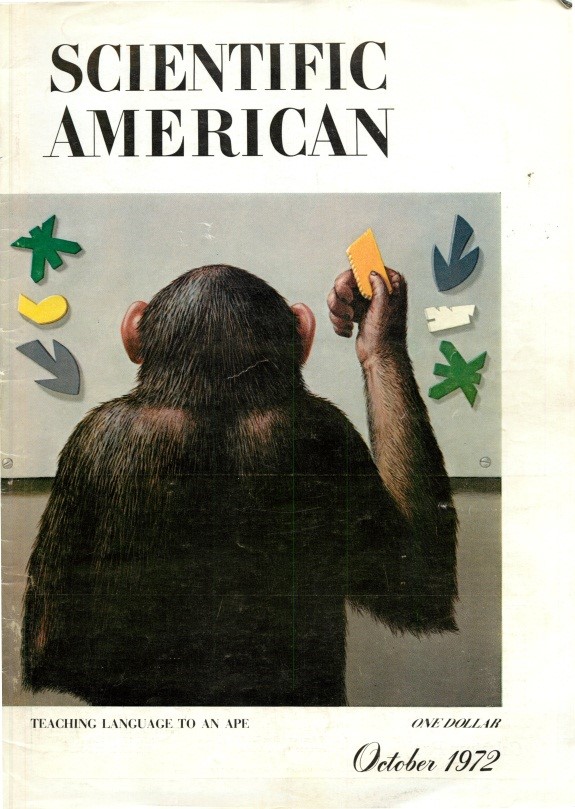 Scientific America "teaching language to an ape"