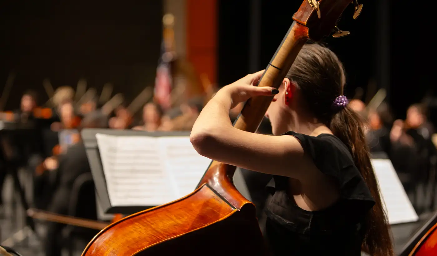 orchestra performer cello
