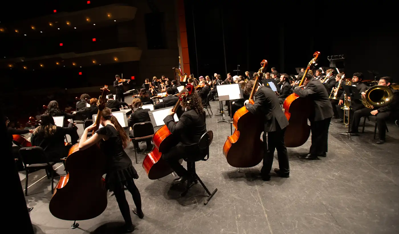 orchestra performers from the back of the orchestra