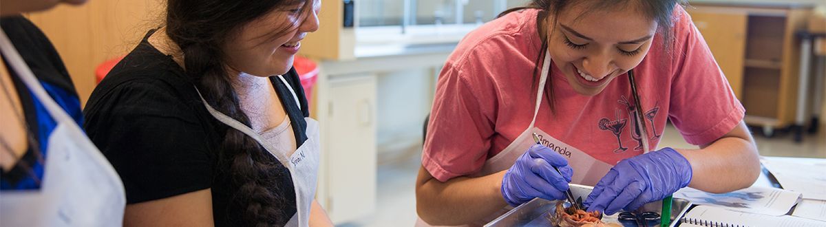 students smiling dissecting frog