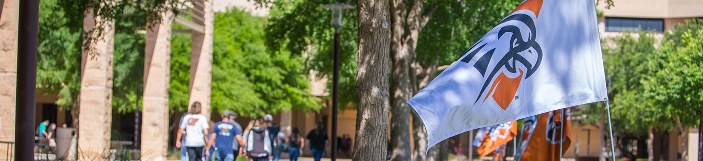 Falcon flag waving in the quad on campus