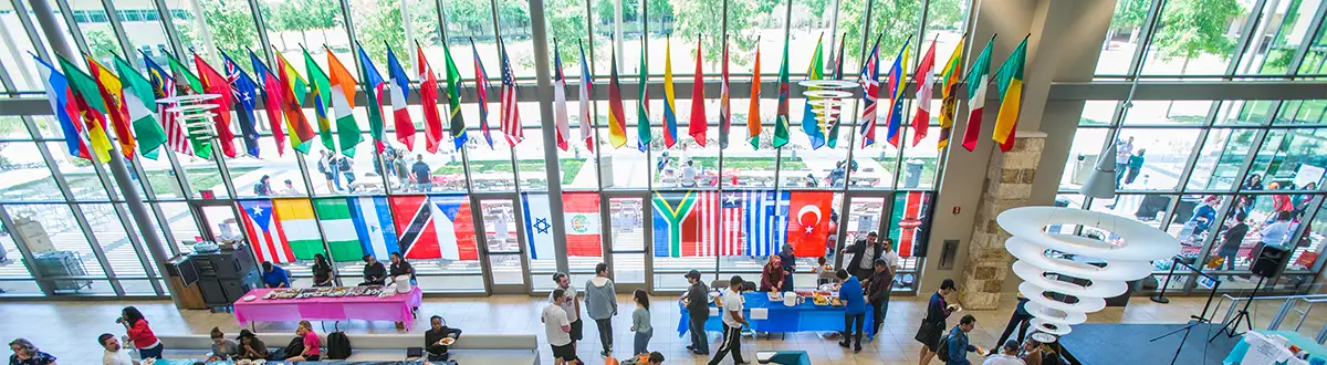 International Flags hanging in the SAC
