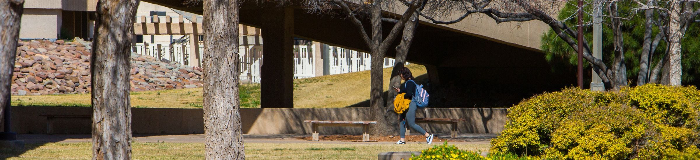 estudiante caminando afuera en el patio