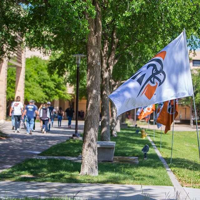 Falcon flag waving in the quad