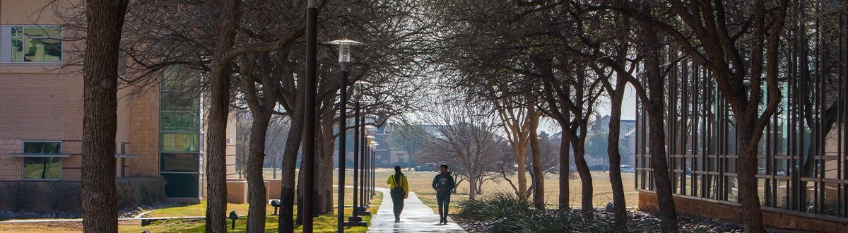 terrenos del campus con estudiantes caminando