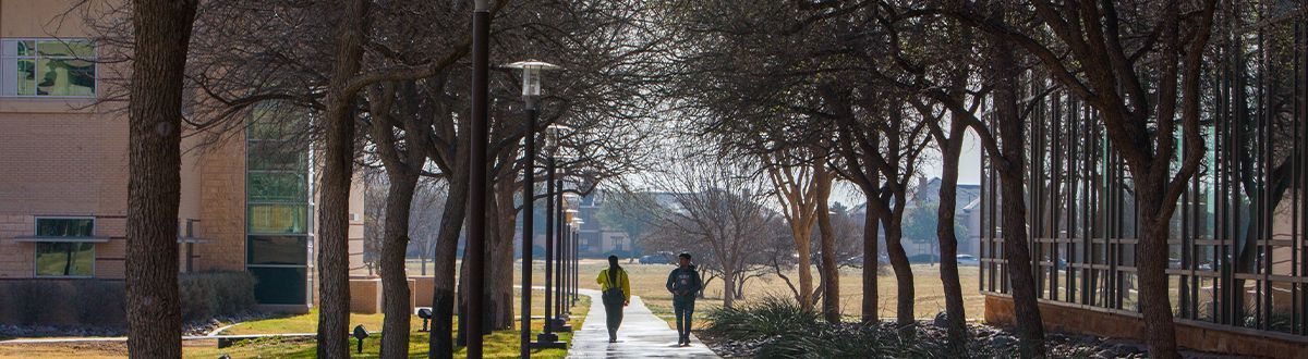 students walking around campus