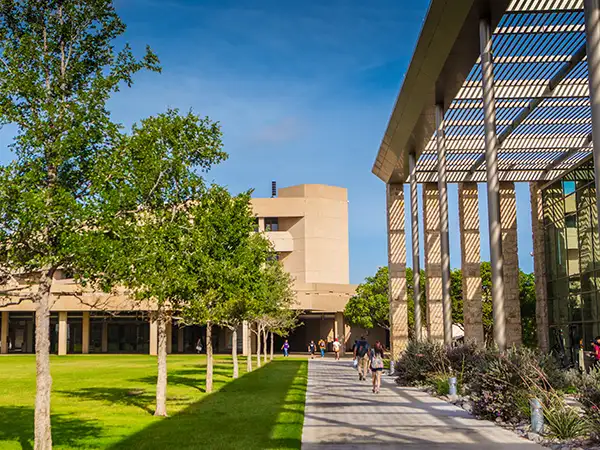 library grounds and side walk