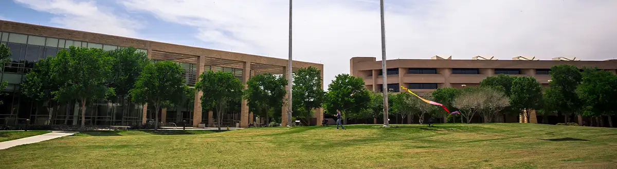 Buildings around the quad with someone flying a kite