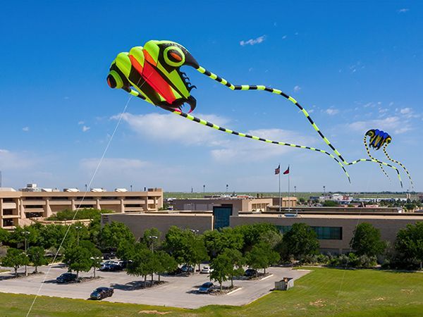Kites flying over UTPB