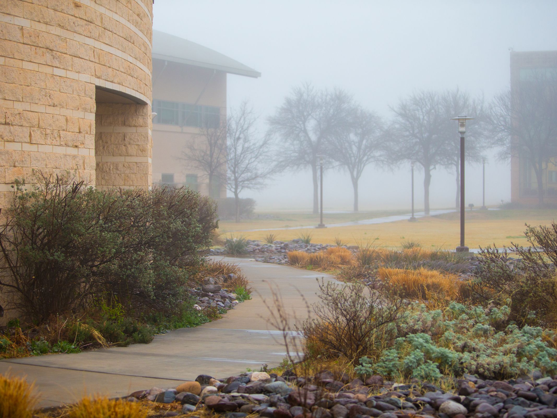 Foggy campus beauty shot