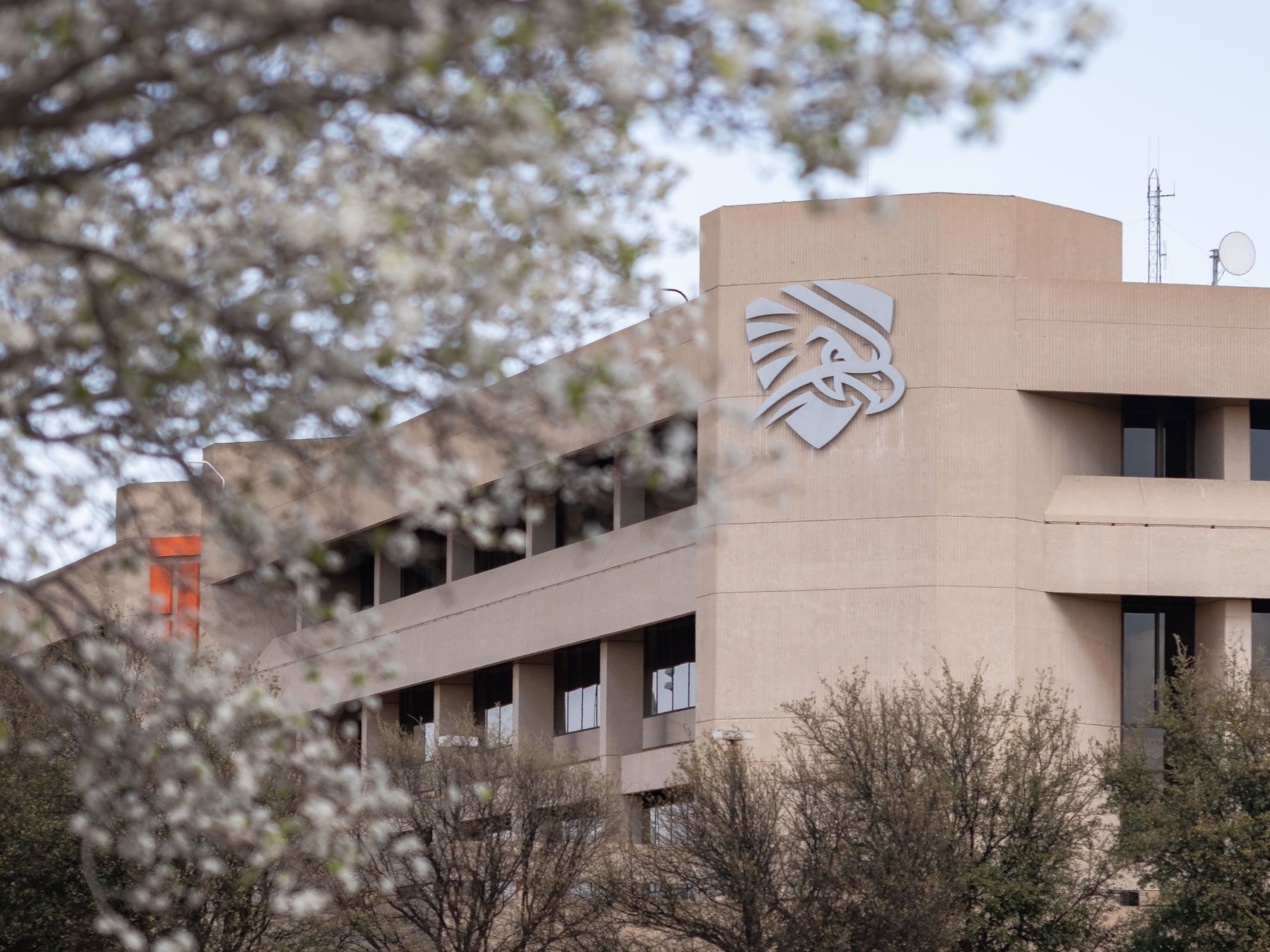 Mesa Building Falcon Shield