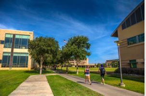 Estudiantes caminando por la acera del campus