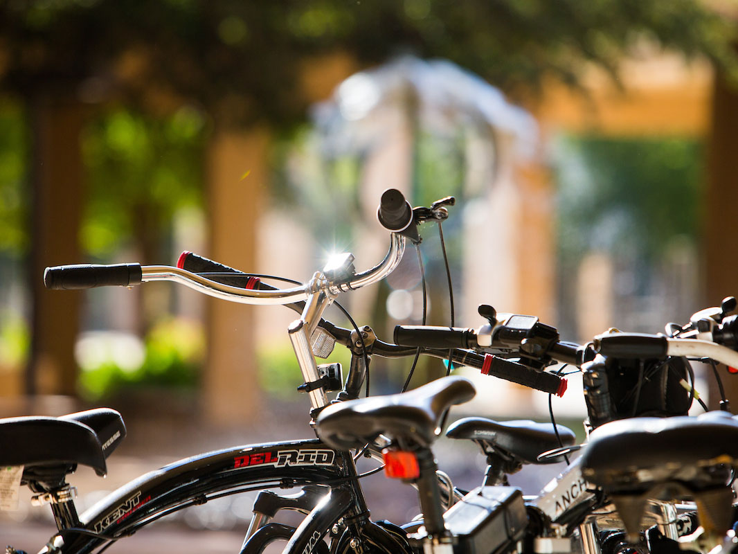 Bicycles parked on campus 