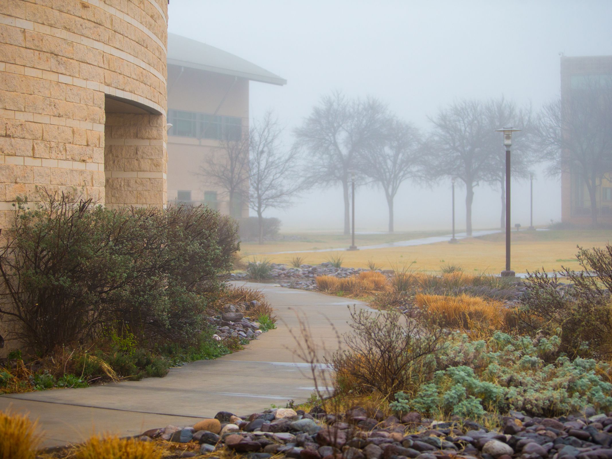 Picture of foggy campus