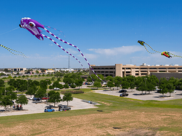 Kites flying over campus
