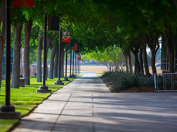 UTPB Campus treeline
