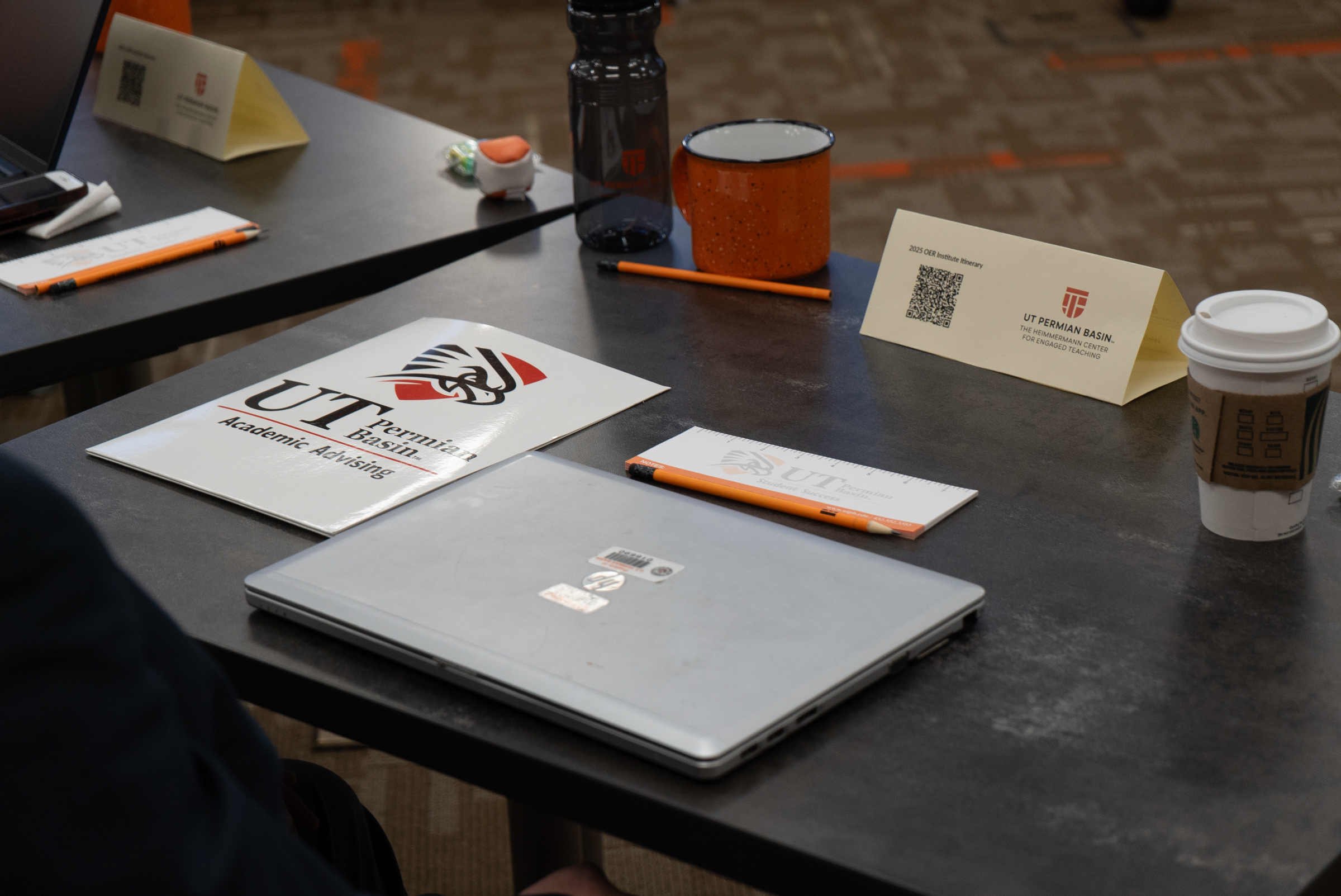 OER Fellows Summer Institute
