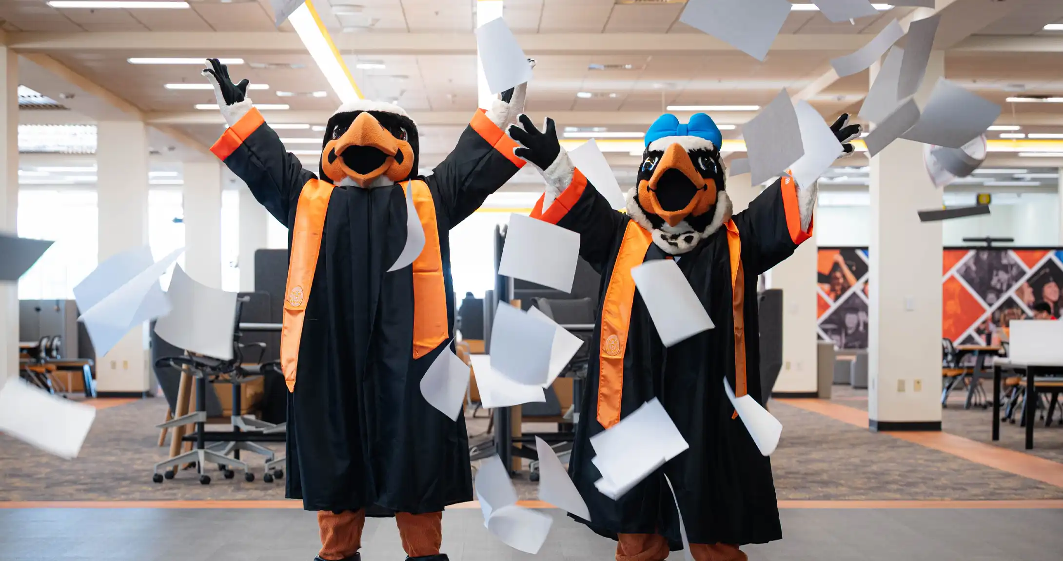 Freddy and Fiona Falcon throwing paper in the air while wearing graduation regalia. 
