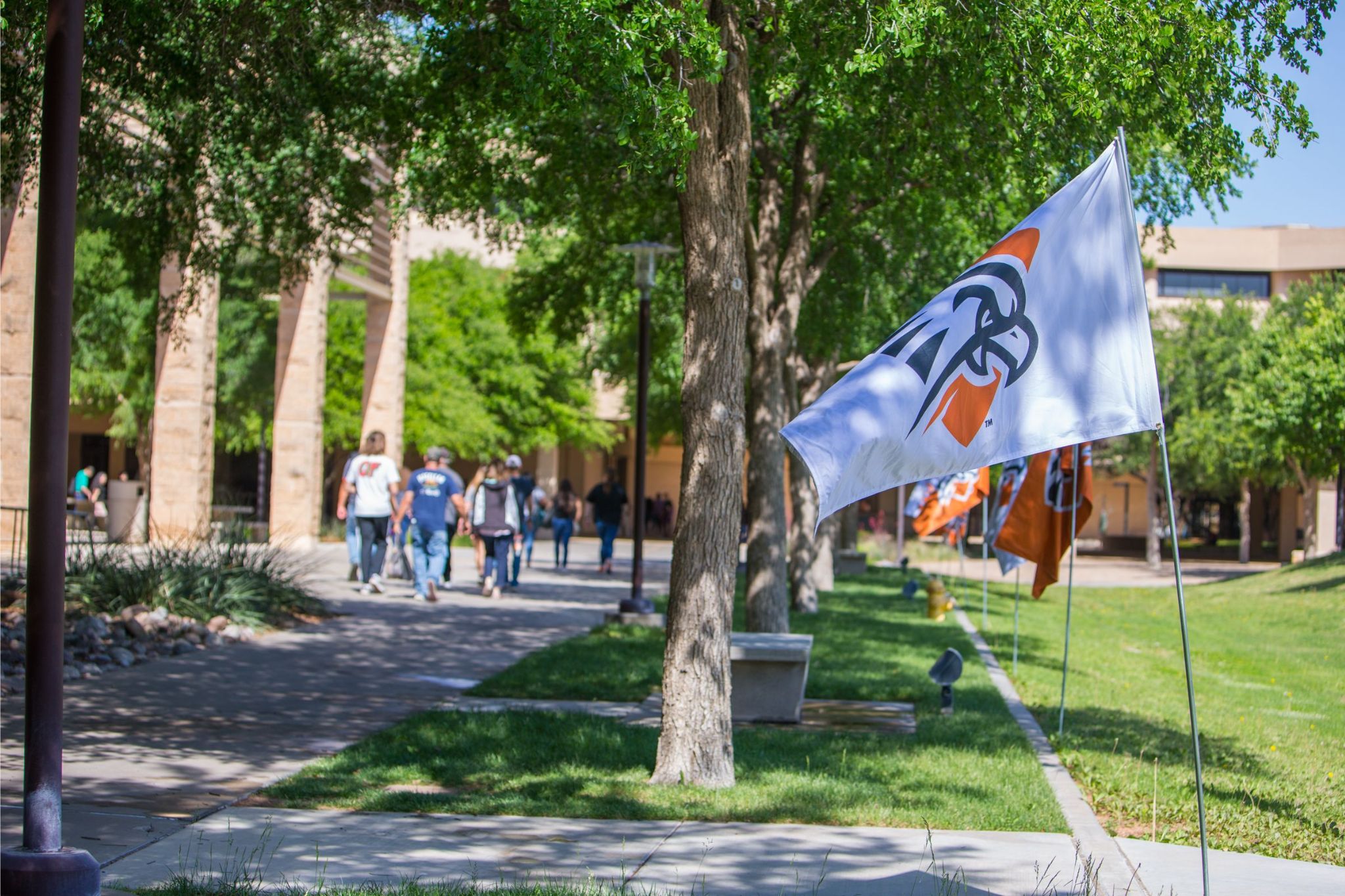 Students walking near library