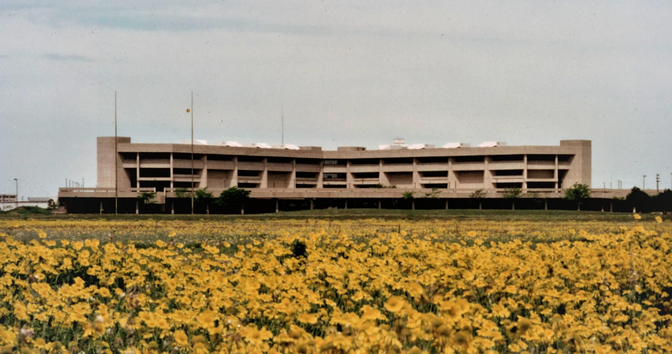 Photo of Mesa Building from 1974