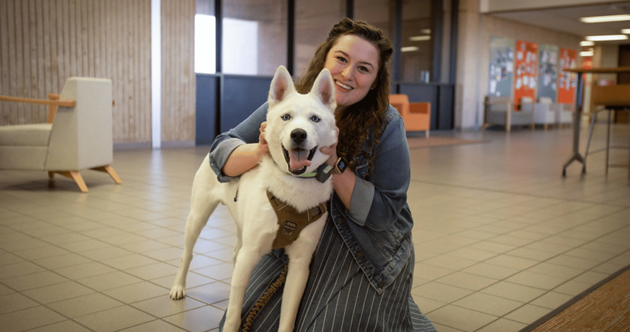 therapy dog looking at camera with owner