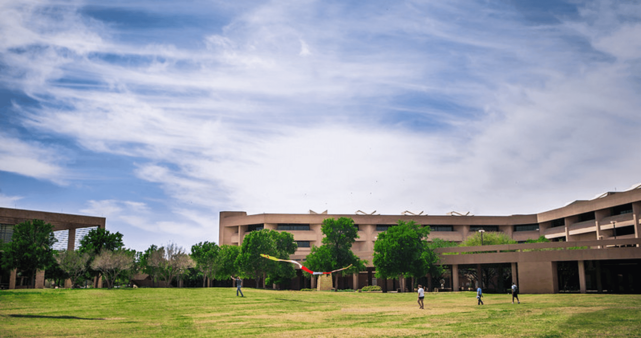 Flites in field on campus
