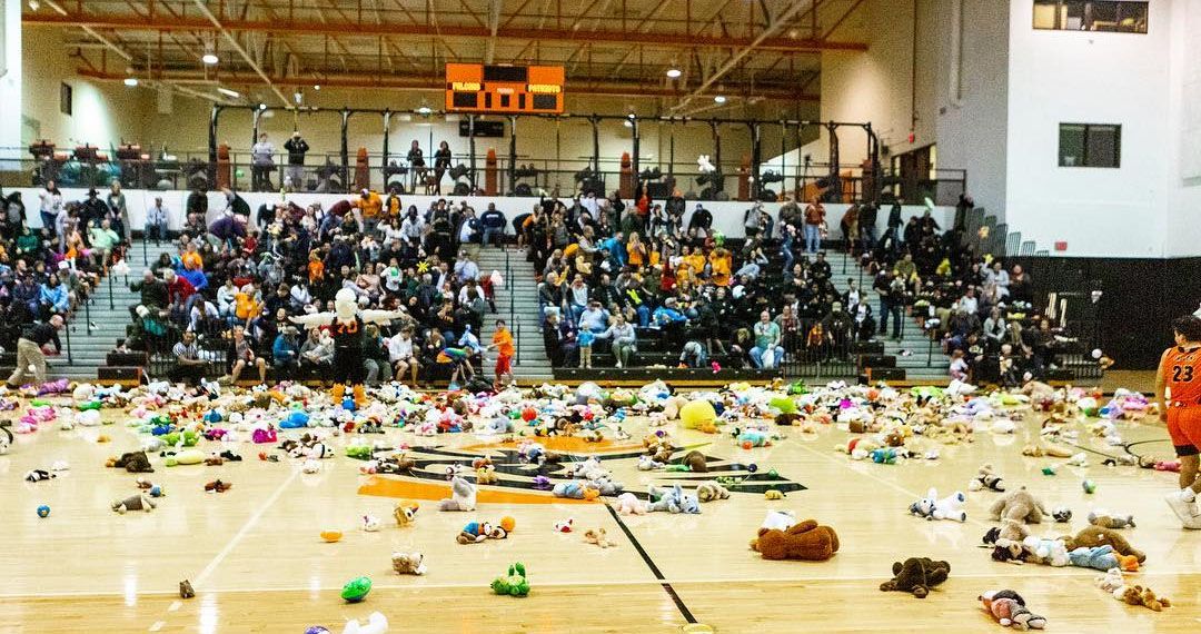 stuffed animals thrown on court