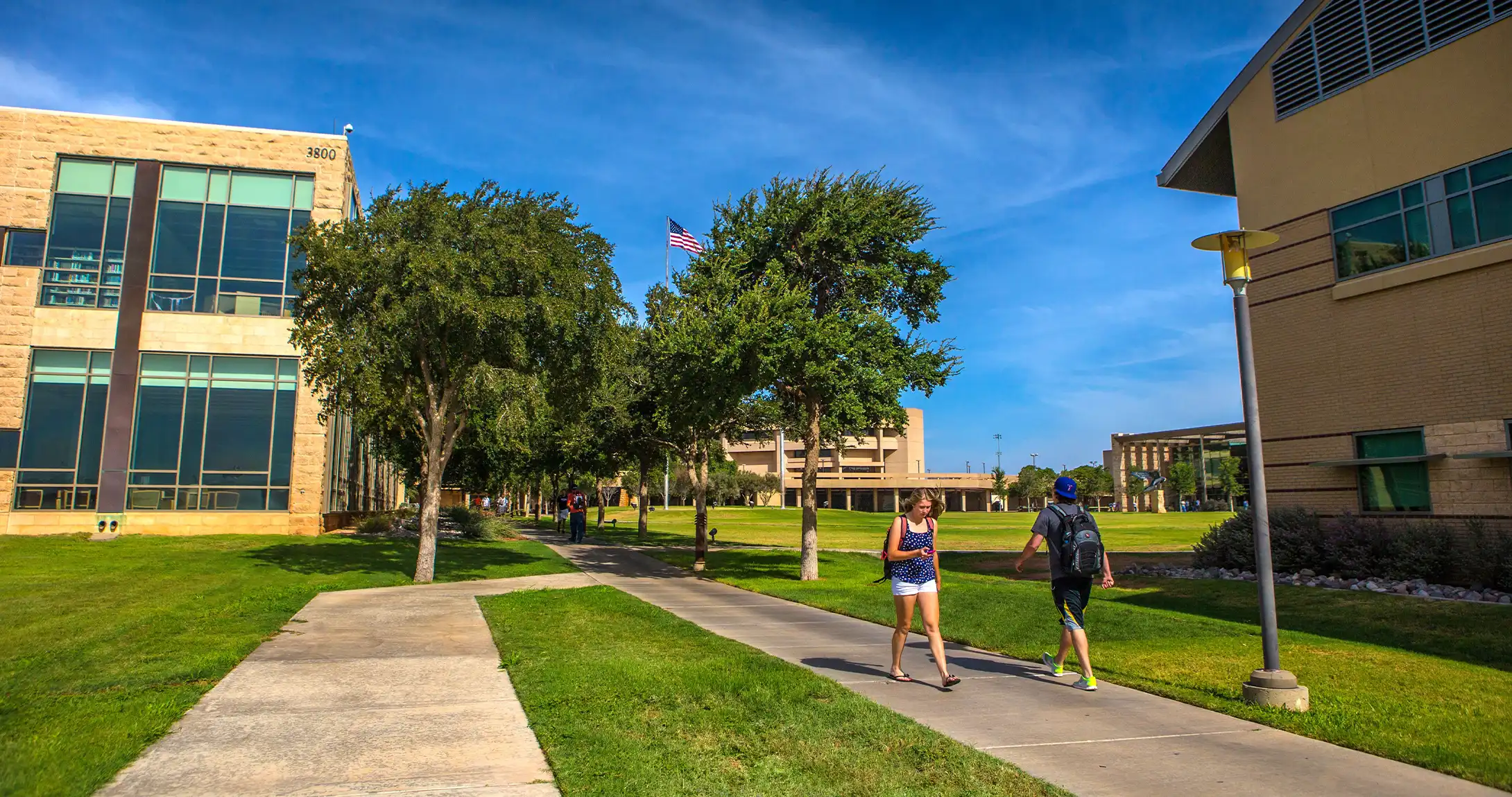 Walking paths on campus