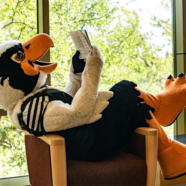 Freddy Falcon in a library chair reading a book