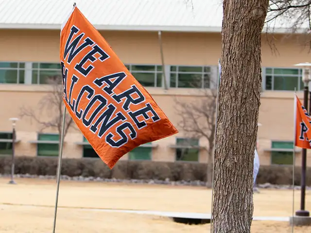 We are Falcons Flag on campus