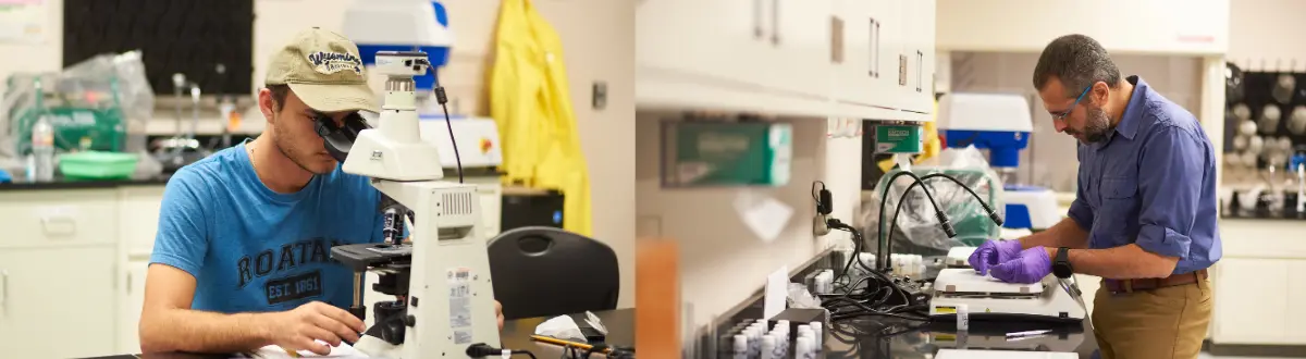 research workers looking through microscope